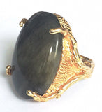 Anillo bosque